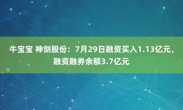 牛宝宝 神剑股份：7月29日融资买入1.13亿元，融资融券余额3.7亿元