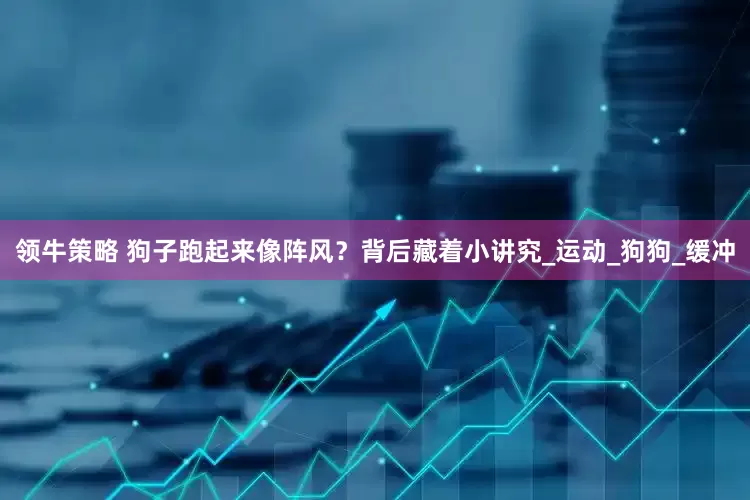 领牛策略 狗子跑起来像阵风？背后藏着小讲究_运动_狗狗_缓冲