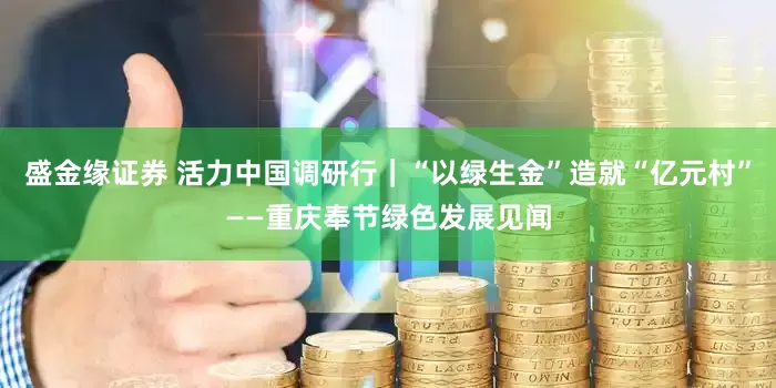 盛金缘证券 活力中国调研行｜“以绿生金”造就“亿元村”——重庆奉节绿色发展见闻