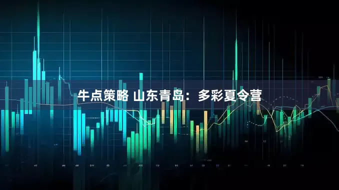 牛点策略 山东青岛：多彩夏令营
